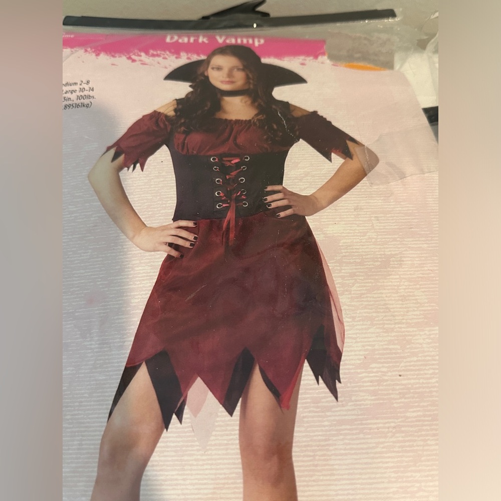 Dark Vamp Gothic Vampire Halloween Costume